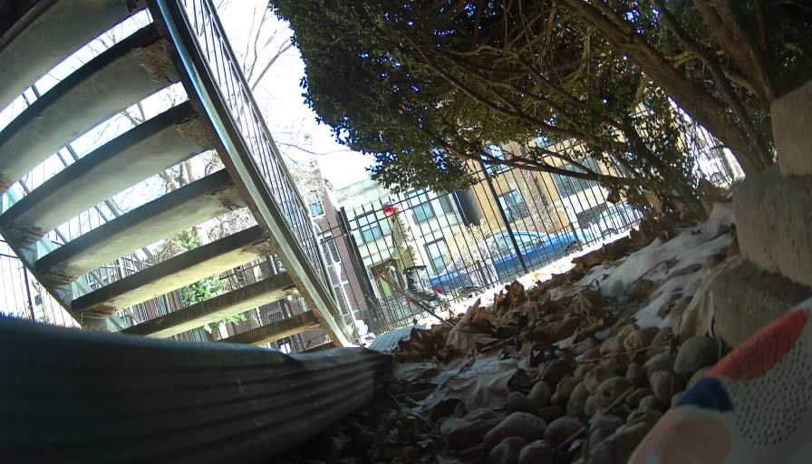 Reolink Camera Two_01_Reolink Home Hub One_20250125114919.jpg